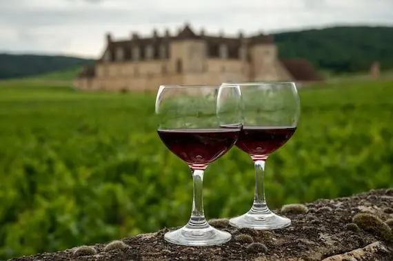 Vin: la France en passe de redevenir 1er producteur mondial