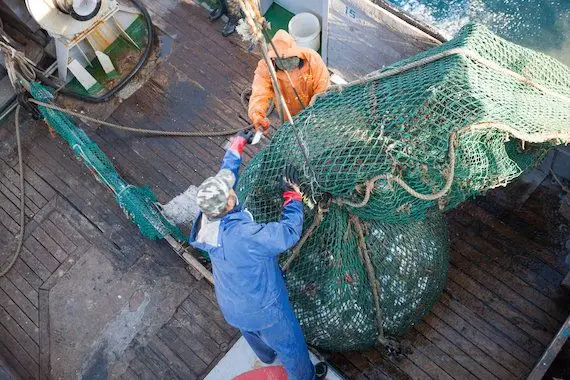 Frontière Canada-É.-U.: un conflit menace les filets de poisson