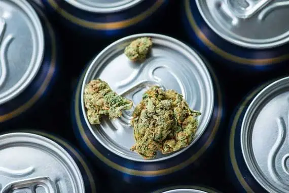 Canopy Growth reporte le lancement de boissons au cannabis