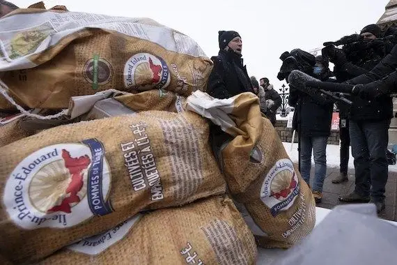 É-U: le Canada reprendra les exportations de pommes de terre