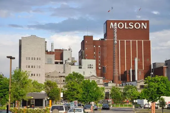 Molson Coors pourrait recommencer à distribuer des dividendes