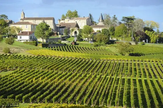 La production de vin français devrait baisser par rapport à 2018