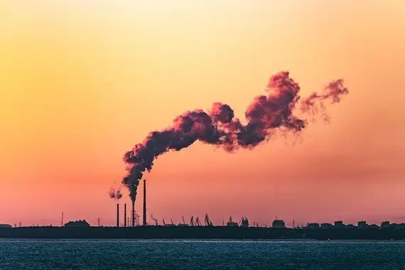 Un nouveau guide pour aider les entreprises à devenir carboneutre