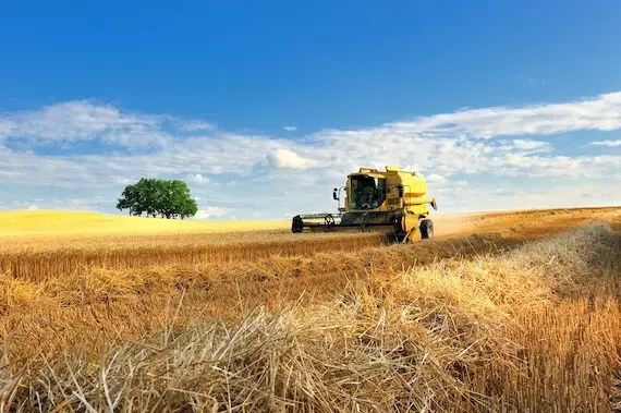 Le marché des céréales retient son souffle