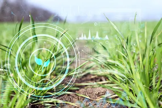 Une révolution dans les champs à l’échelle planétaire:  l’émergence de la filière québécoise des technologies agricoles