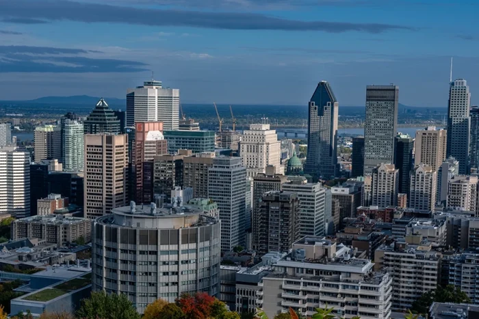 Montréal ne devrait pas augmenter sa présence sur le marché immobilier, plaide l’IEDM