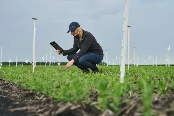 L’IA peut rendre l’agriculture plus efficace, disent des experts