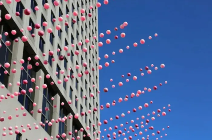 Rue piétonne: amour ou désamour pour nos commerçants?