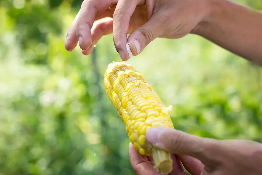 L’agriculture se met au vert