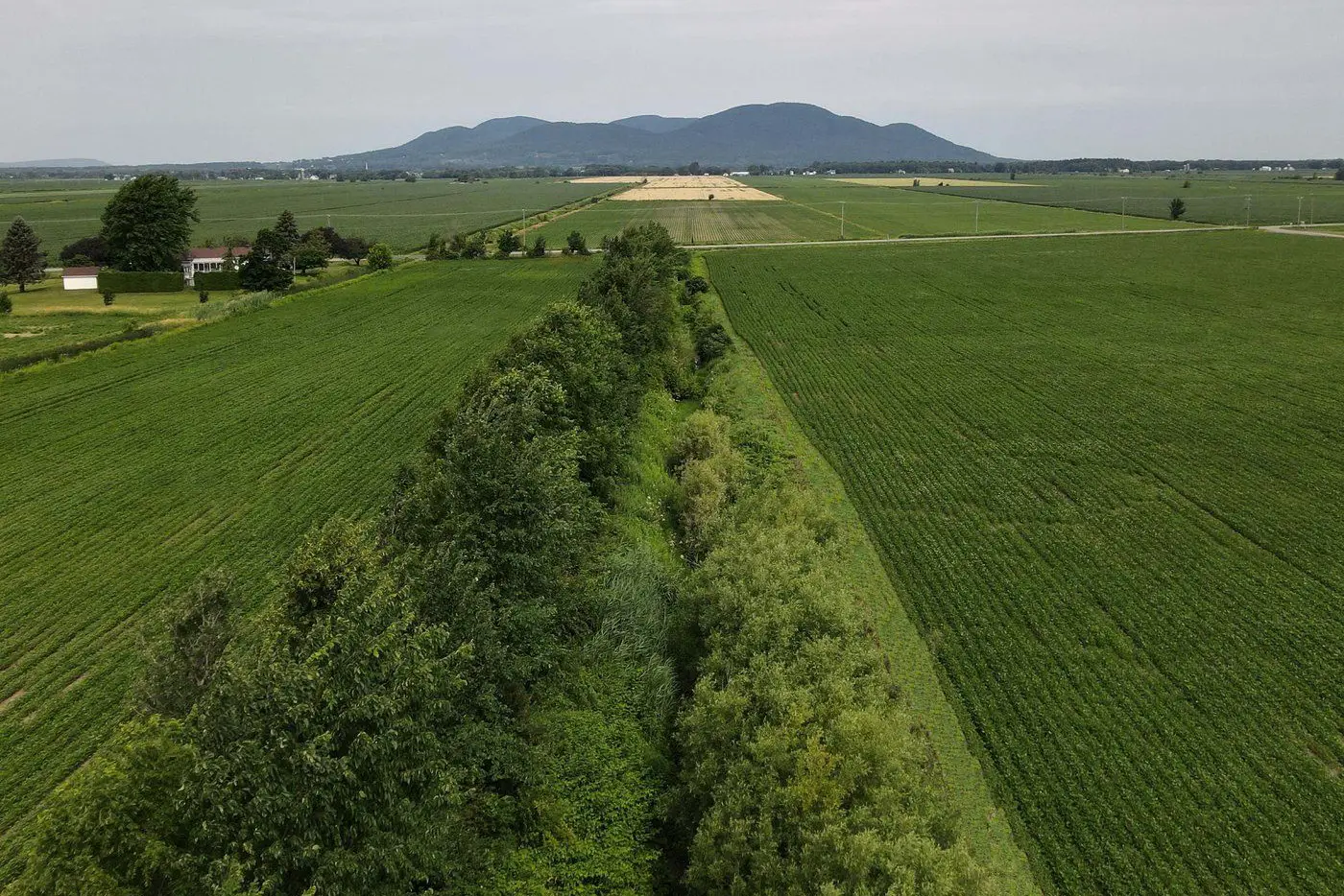 Agriculture biologique: la Montérégie s’adapte