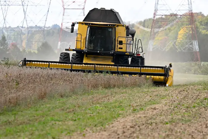 D’immenses superficies de terres agricoles sont abandonnées au profit des forêts