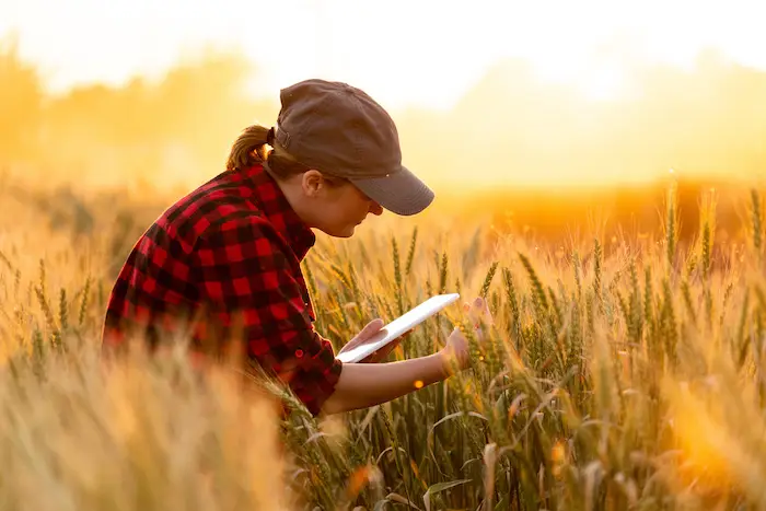 Les agricultrices du Québec sont aux prises avec une surcharge mentale