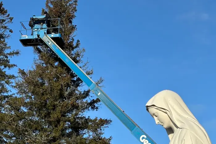 Isle-Maligne a les plus hauts sapins jamais illuminés au Québec