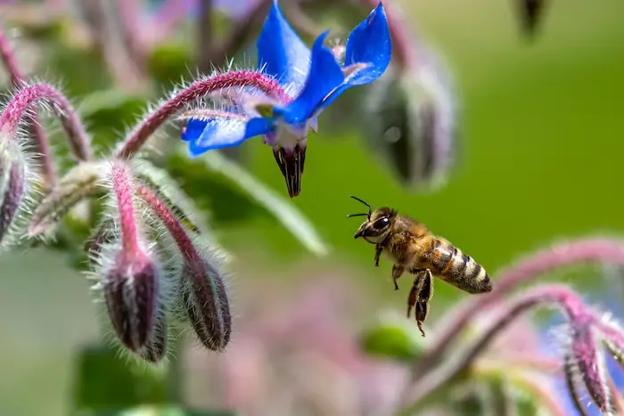 La biodiversité, c’est notre affaire à tous!