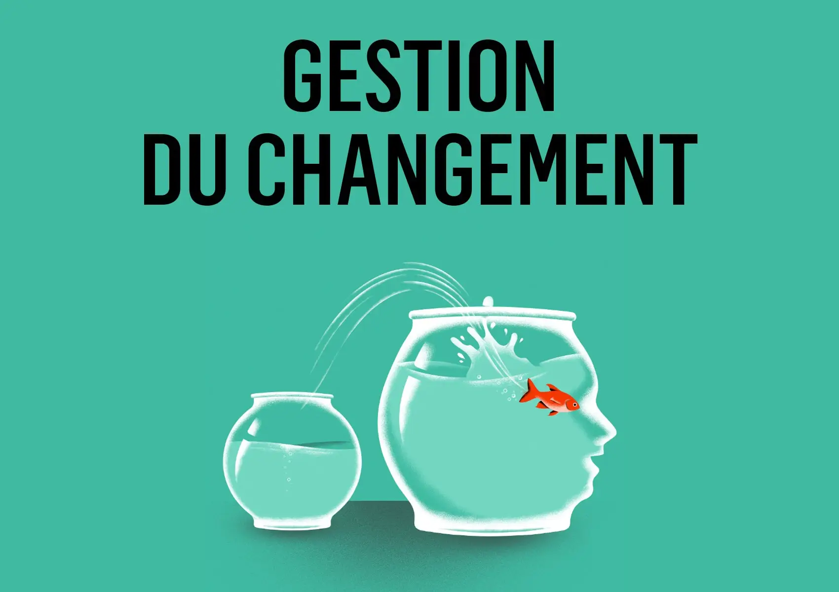 Gestion du changement